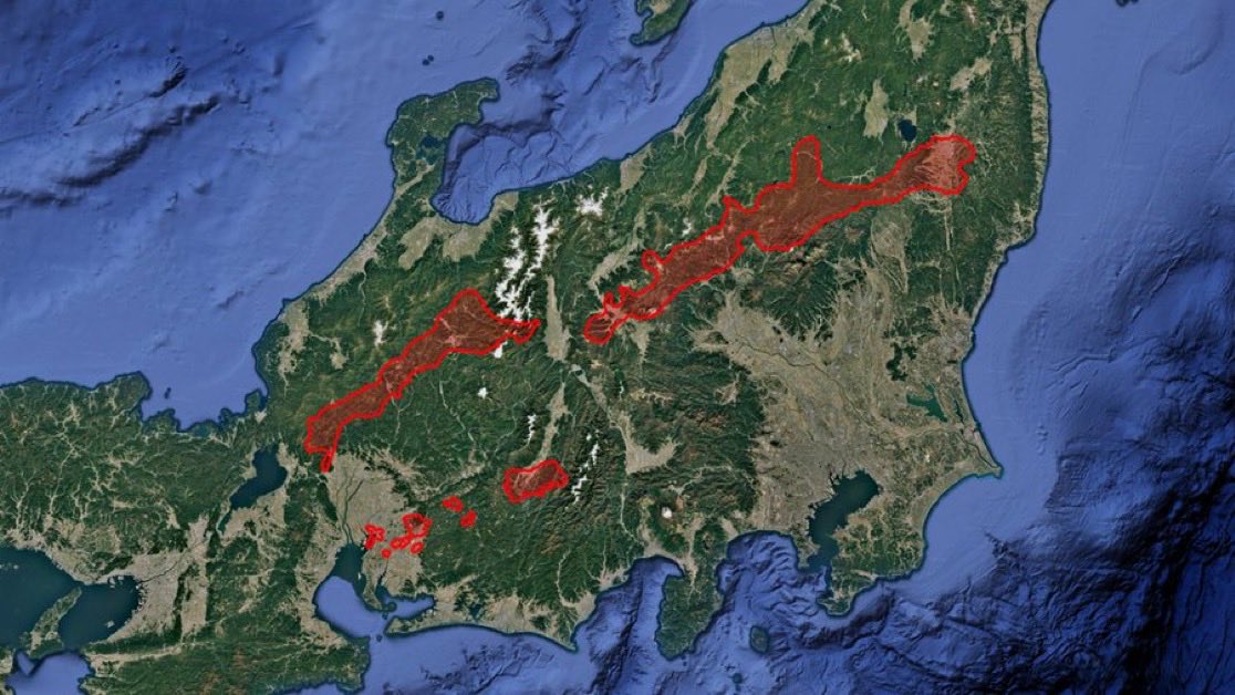 世界・驚愕ニュース tweet media