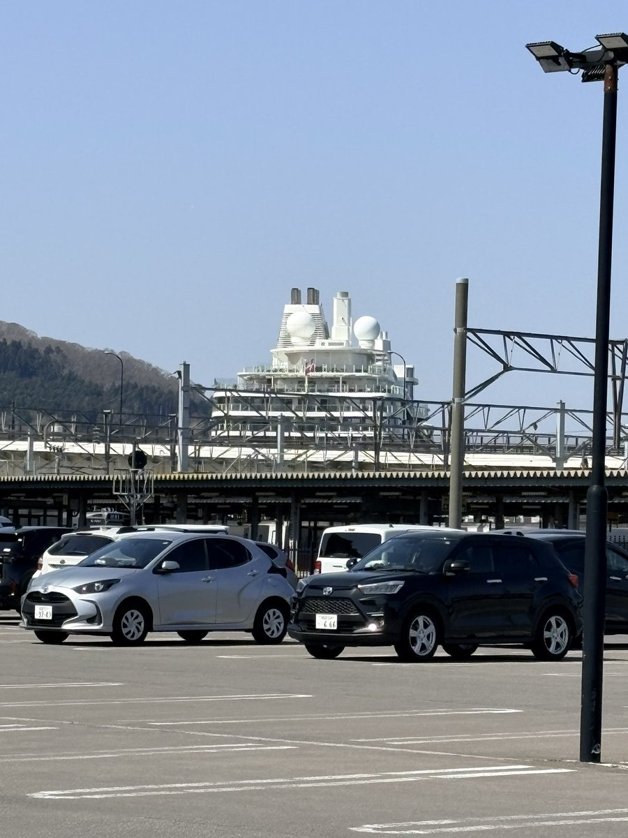 セルママ tweet media