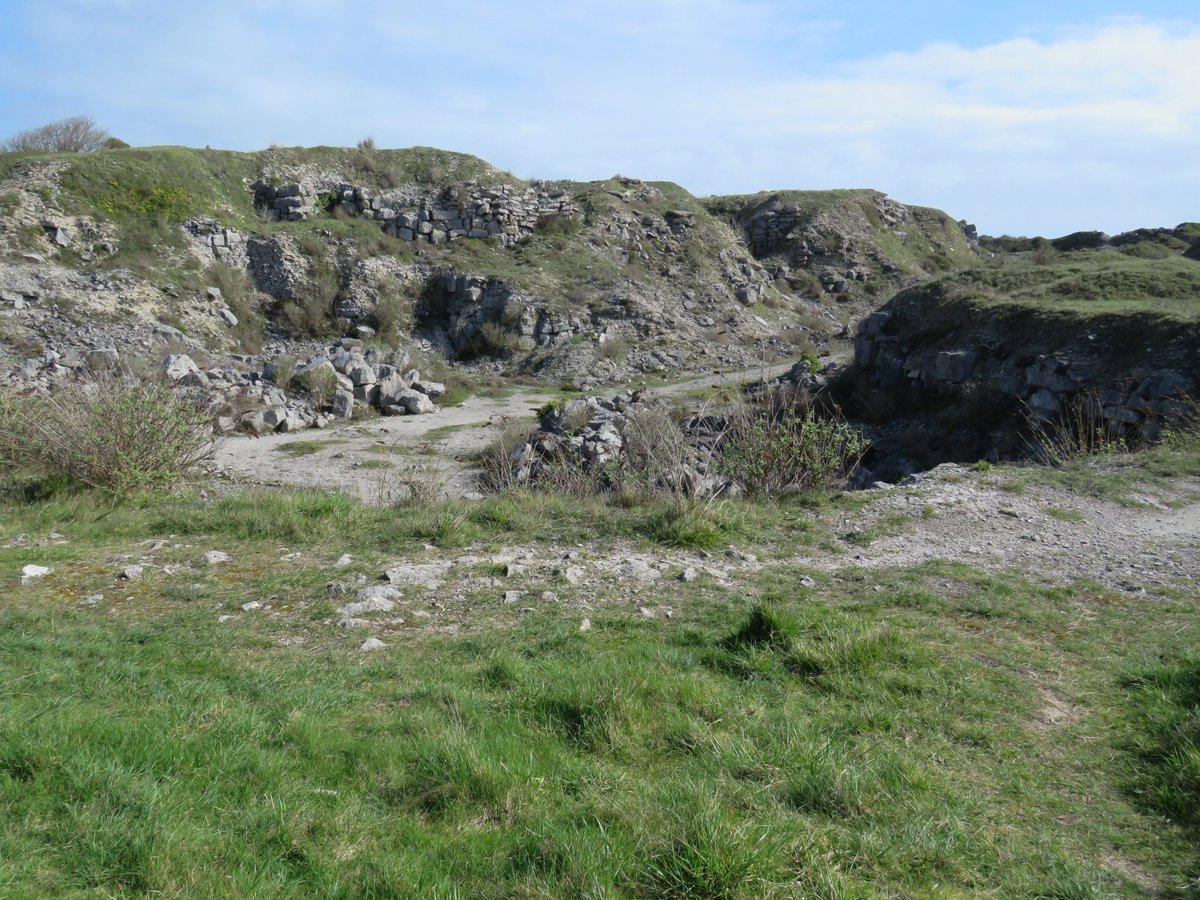 Steven Falk tweet media