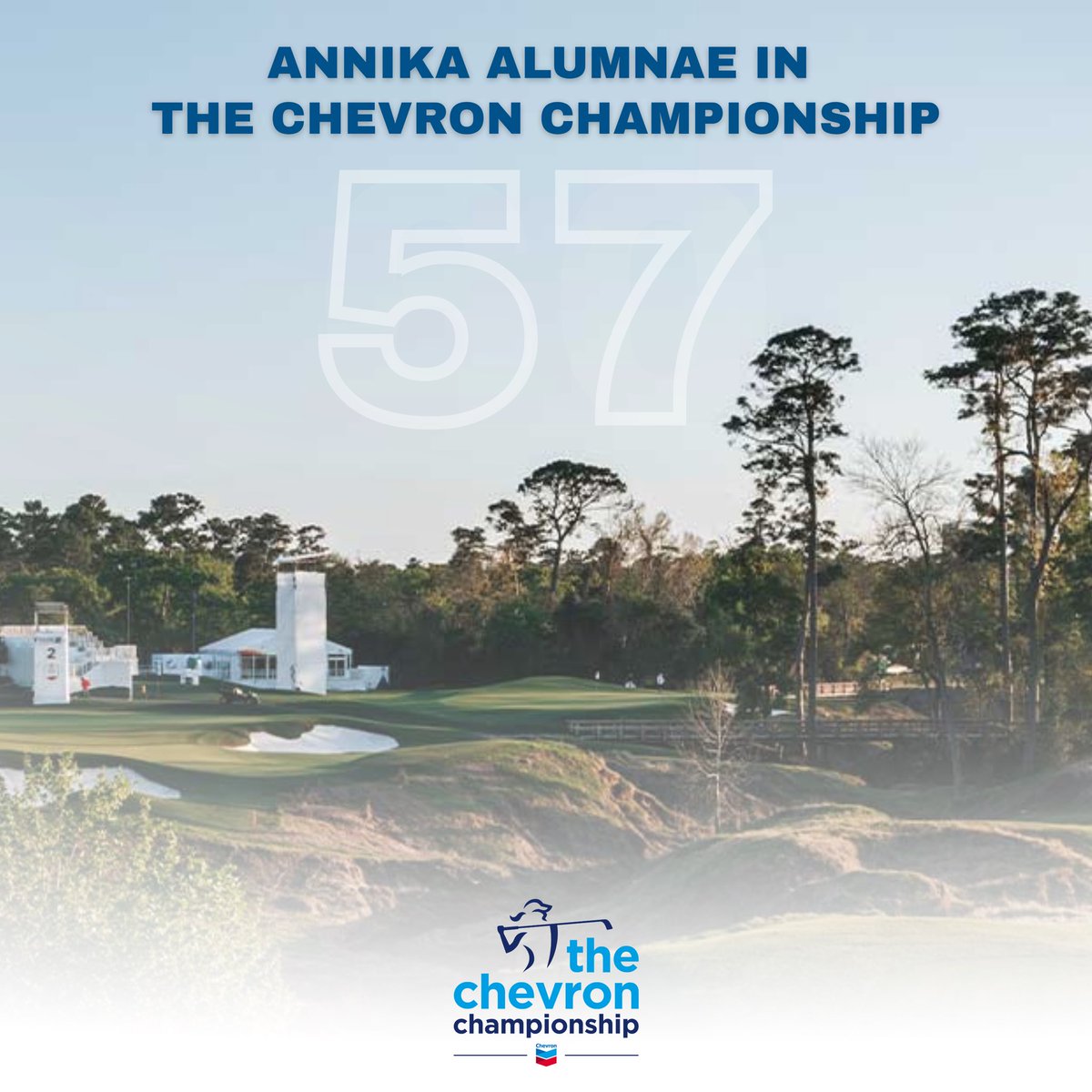 ANNIKA Foundation tweet media