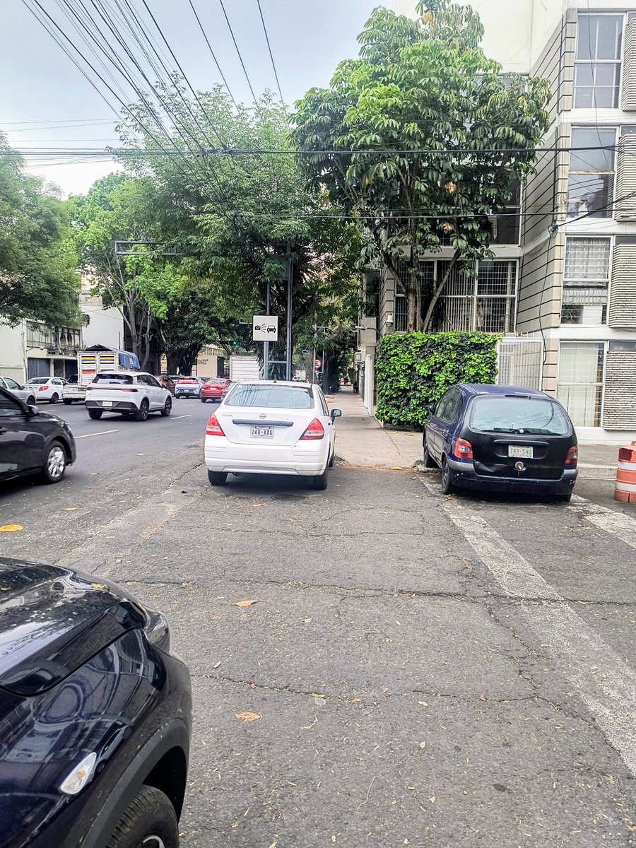 Mauricio tweet media