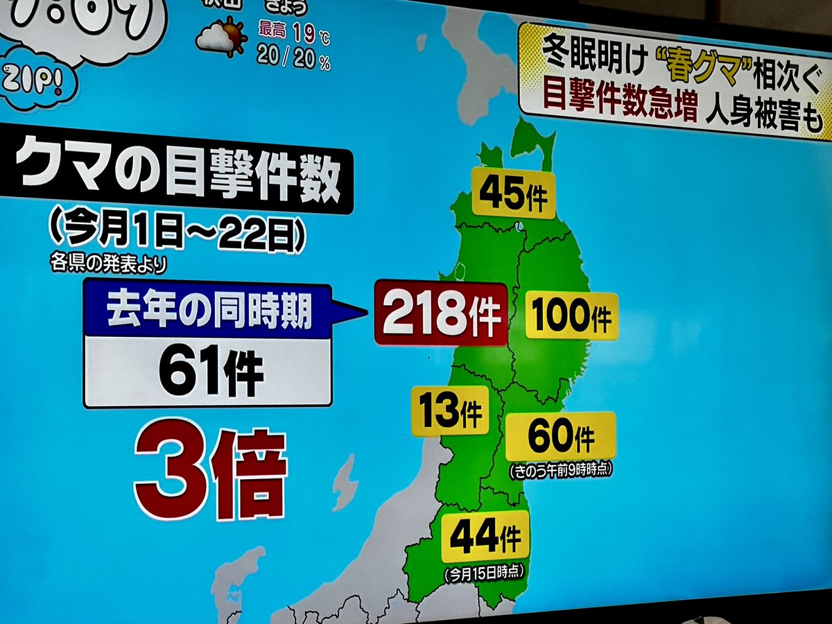 ゆの｡ tweet media