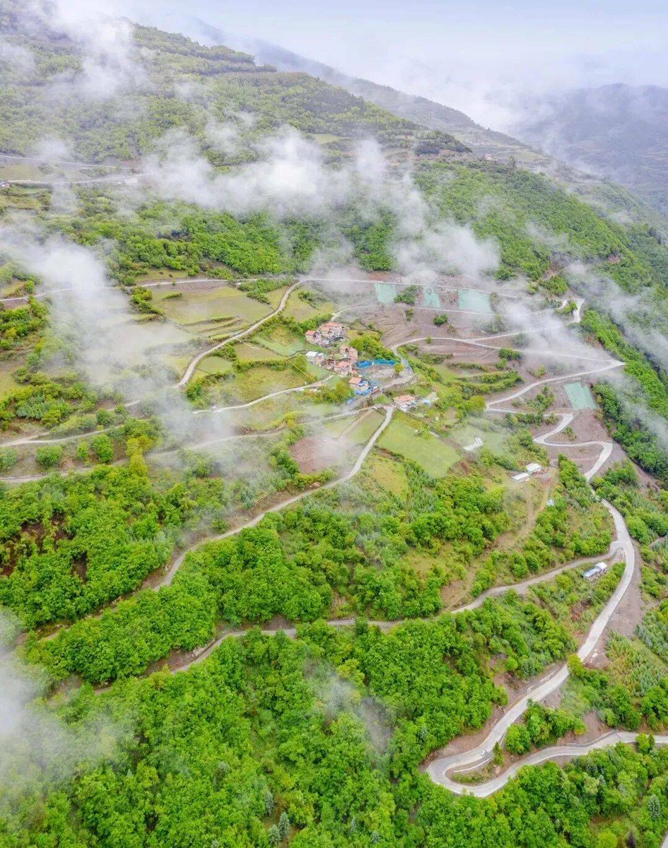 louis cooper tweet media