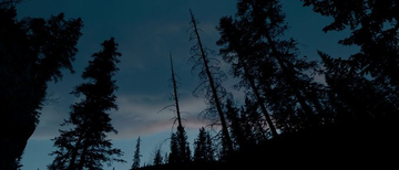 Stephen Gibbons tweet media