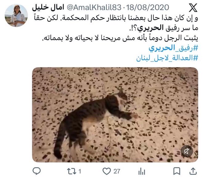 tony3 tweet media