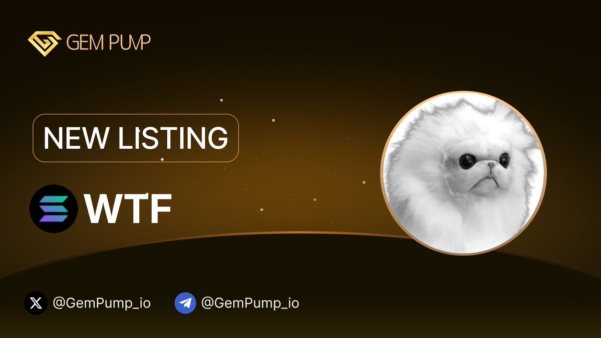 Gempump_io's tweet image. 👏 #WTF listed on GemPump.io 

📄 CA: WTF69x41ZbgyxCCXi6qpyLyDZdPpv5yRSLpga8JQ5cR

 🌐 TG：t.me/monkeycatWTF

 ✖️ X：x.com/monkeycatWTF

💎 GemPump：gempump.io/token/monkeycat

#NewListing #GemPump #100xGem