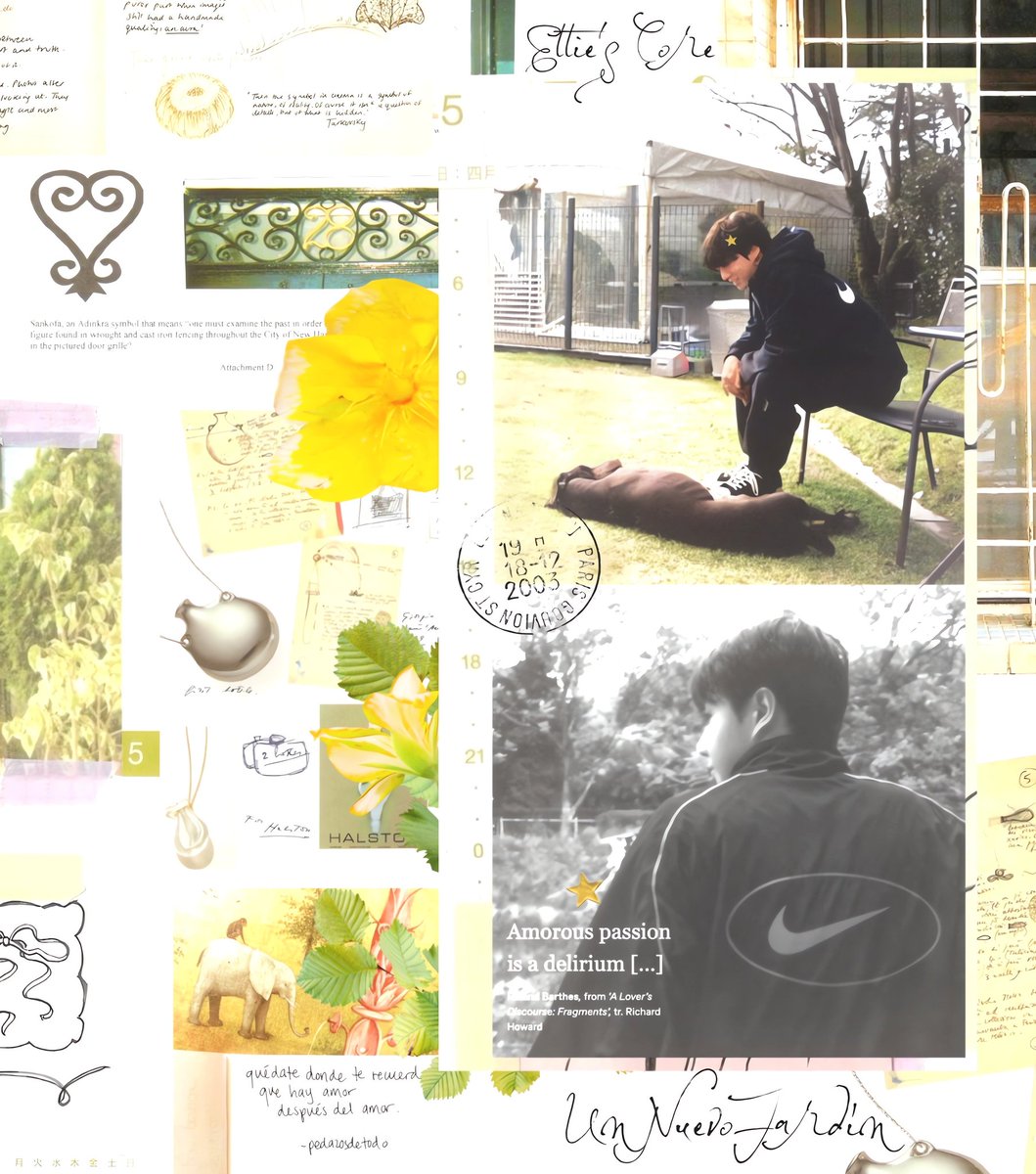 étoile, tweet media