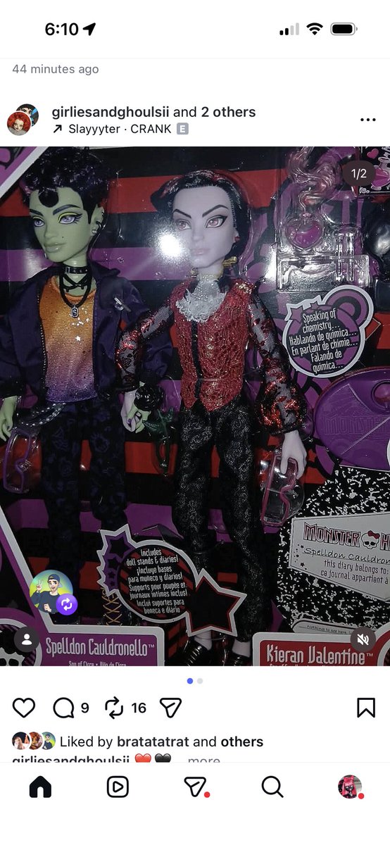 Trin~ 🐈‍⬛🐍🐠🌺💘🪲 tweet media