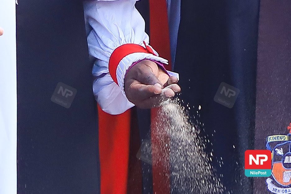 📸 Isano Francis tweet media