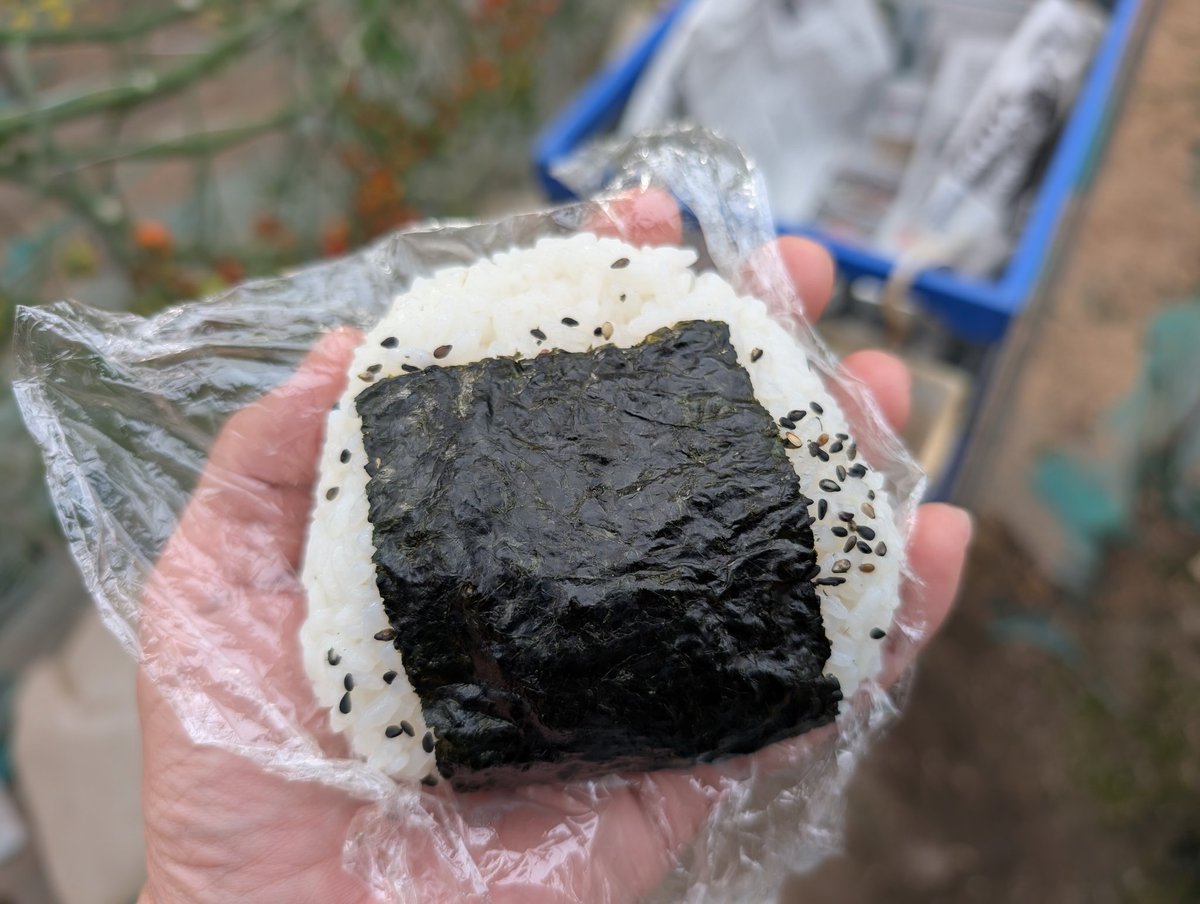 曽我農園 SOGA FARM @規格外トマトの世界 tweet media