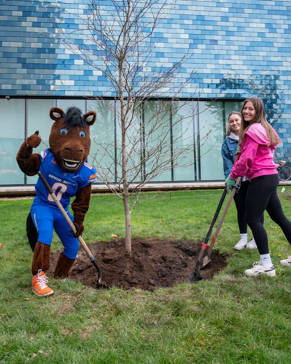 Boise State University tweet media