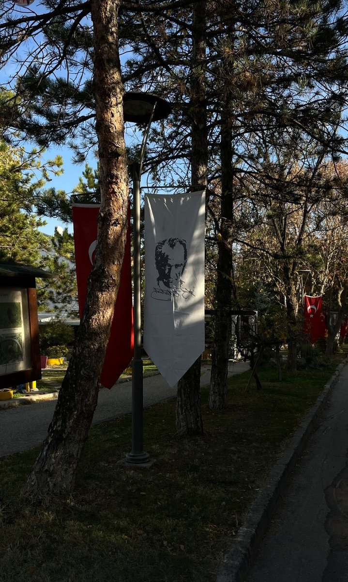 MindFulMan35's tweet photo. Çam ağaçlarının arasından süzülen Atatürk portresi ve ay-yıldızlı bayrağımız, bugünün ruhunu çok zarif bir şekilde yansıtıyor. Bayramımız kutlu olsun. 🇹🇷 https://t.co/cRpdV2uu70