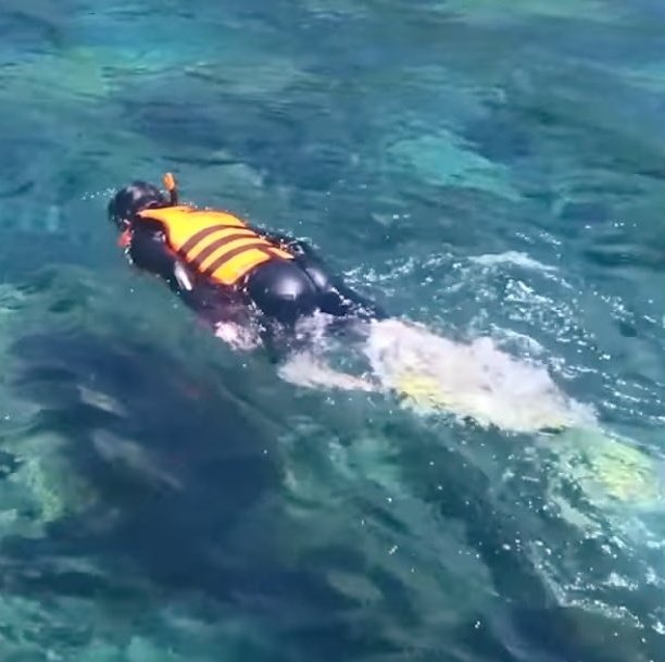 RORO🐈‍⬛ tweet media