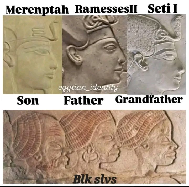 sayed Sayed tweet media