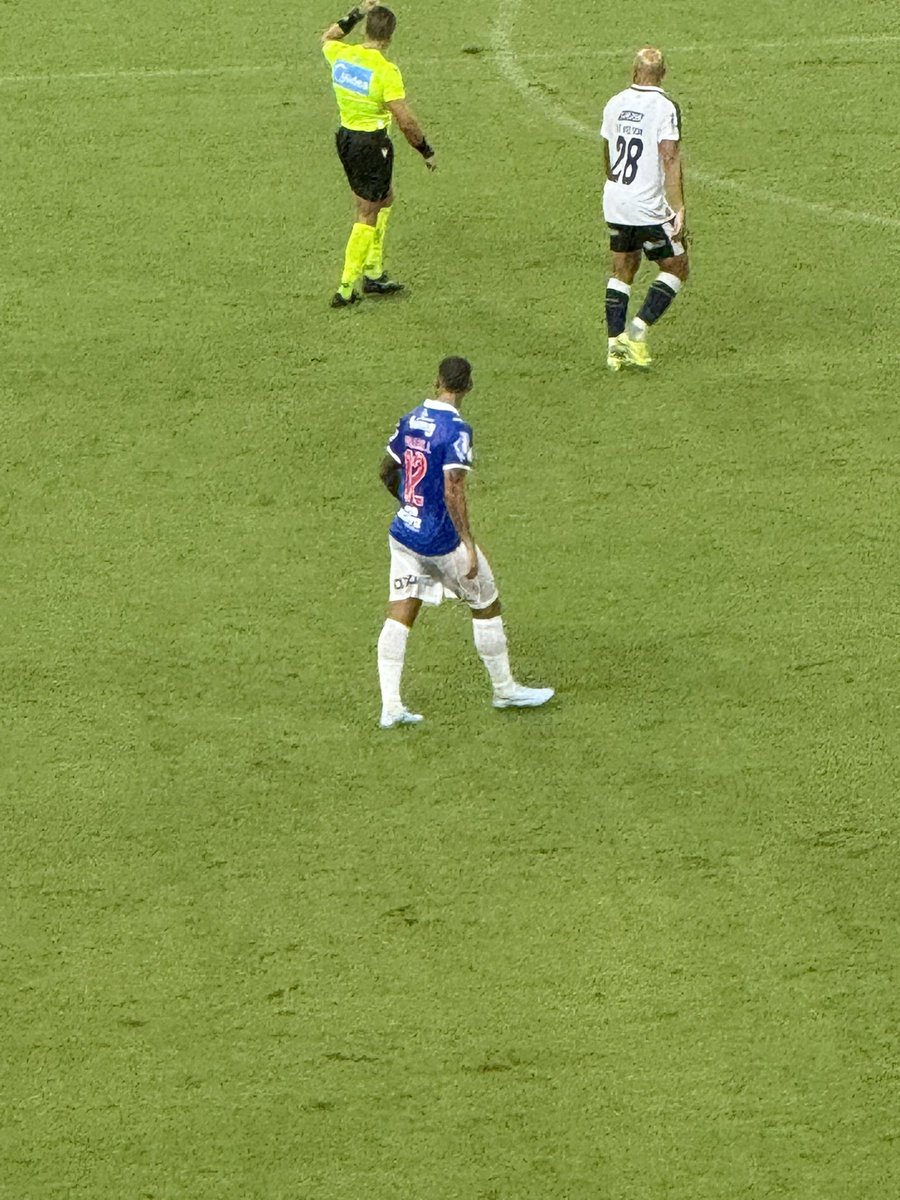 Raquel Maia tweet media