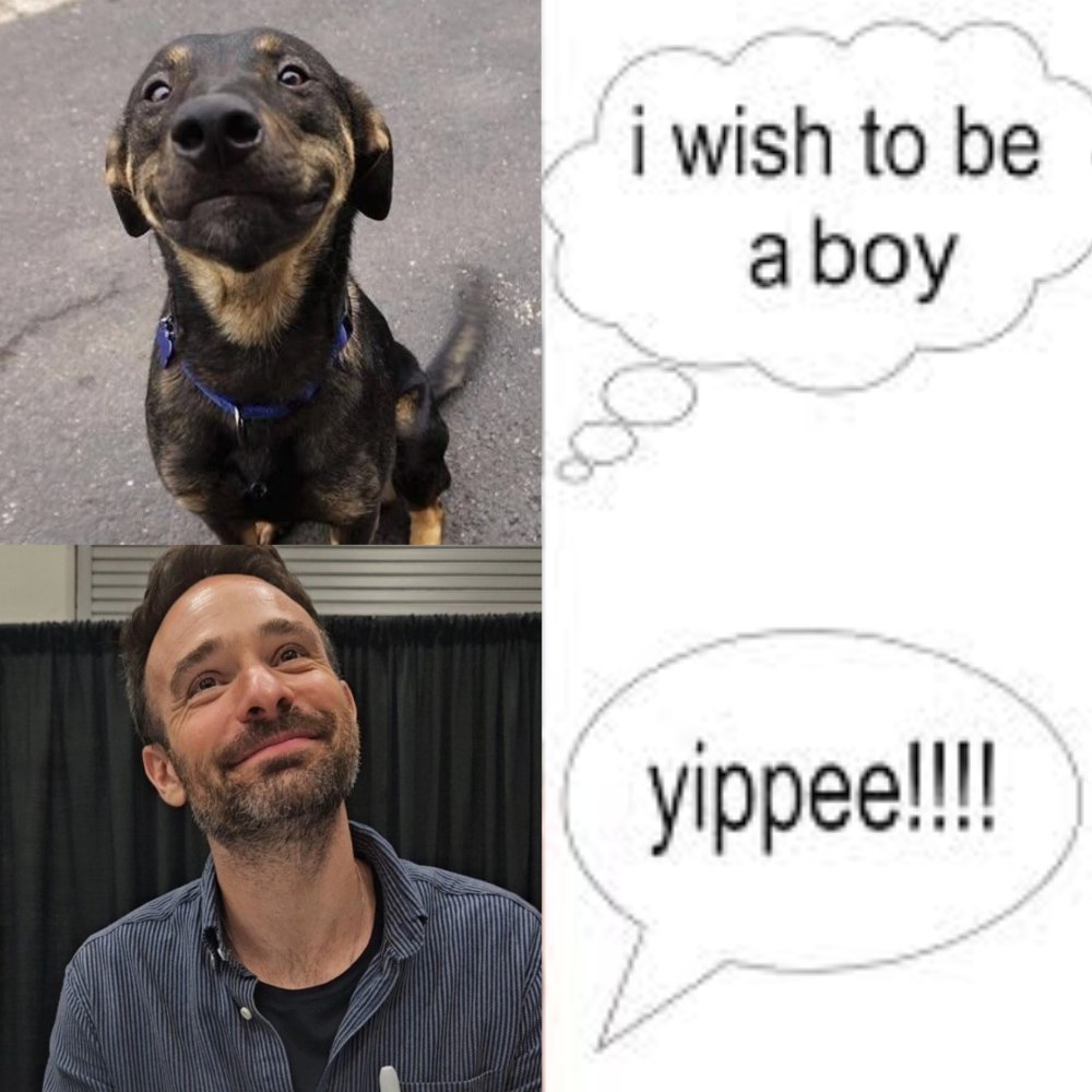 fuzz #1 charlie cox hairline defender tweet media