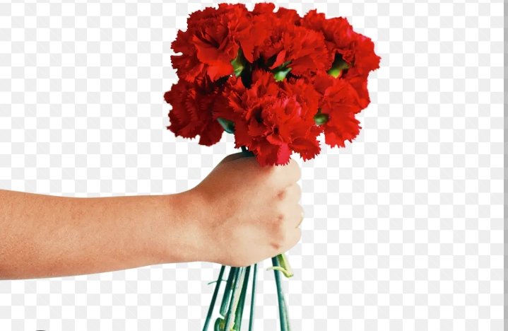 JO 🇵🇹🇷🇺🦅🇵🇸🇨🇳🇾🇪🇨🇺🇻🇪🇧🇫 tweet media