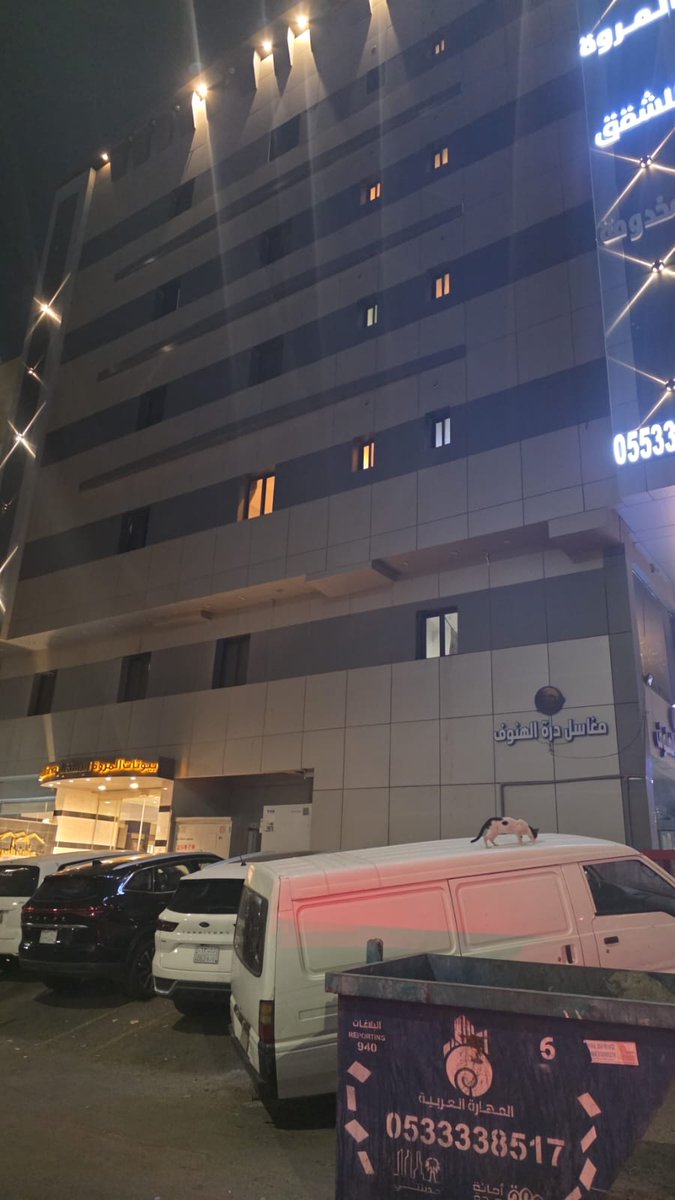 Verna Dorothy tweet media