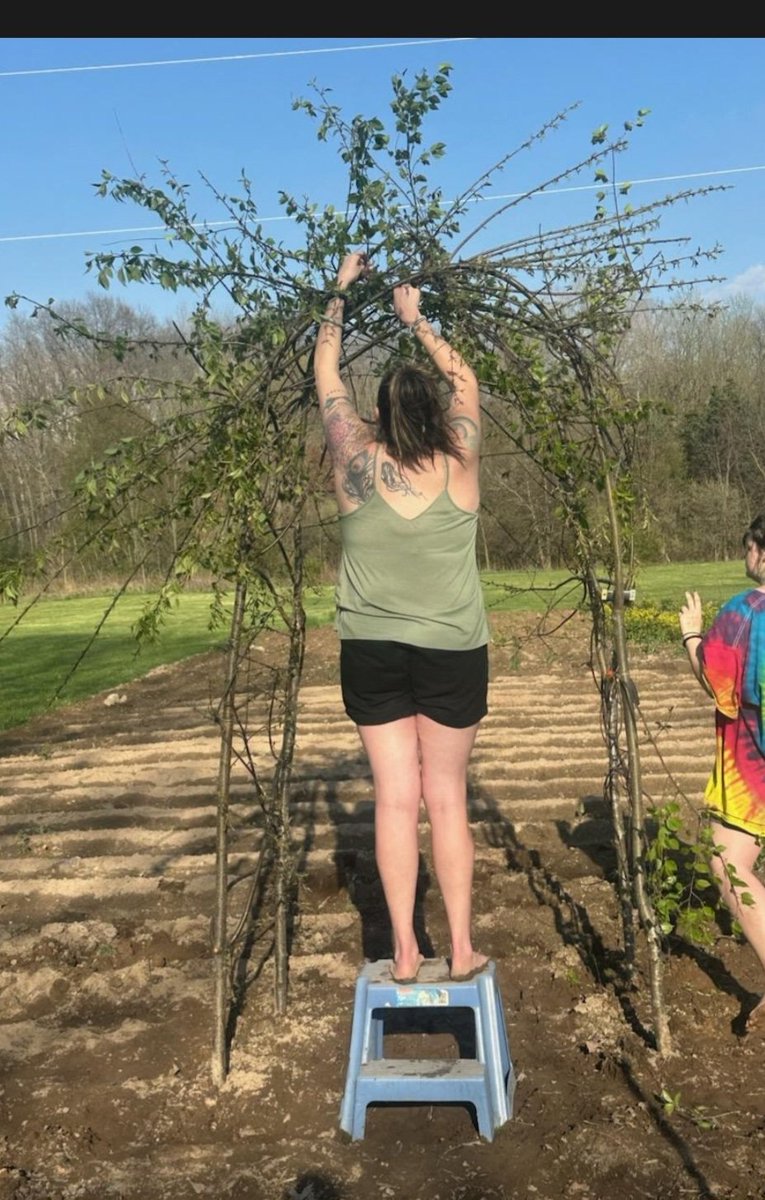 Laffincrow tweet media