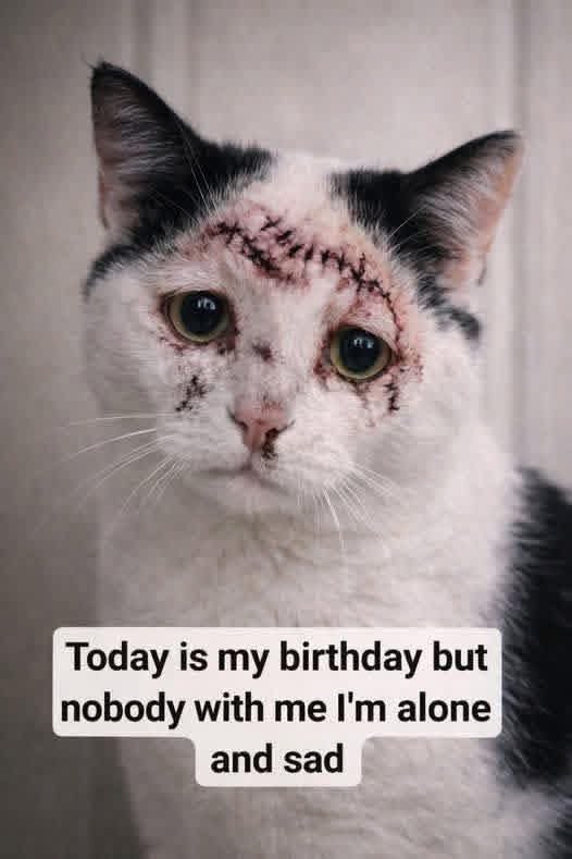 Tahira Sanam tweet media