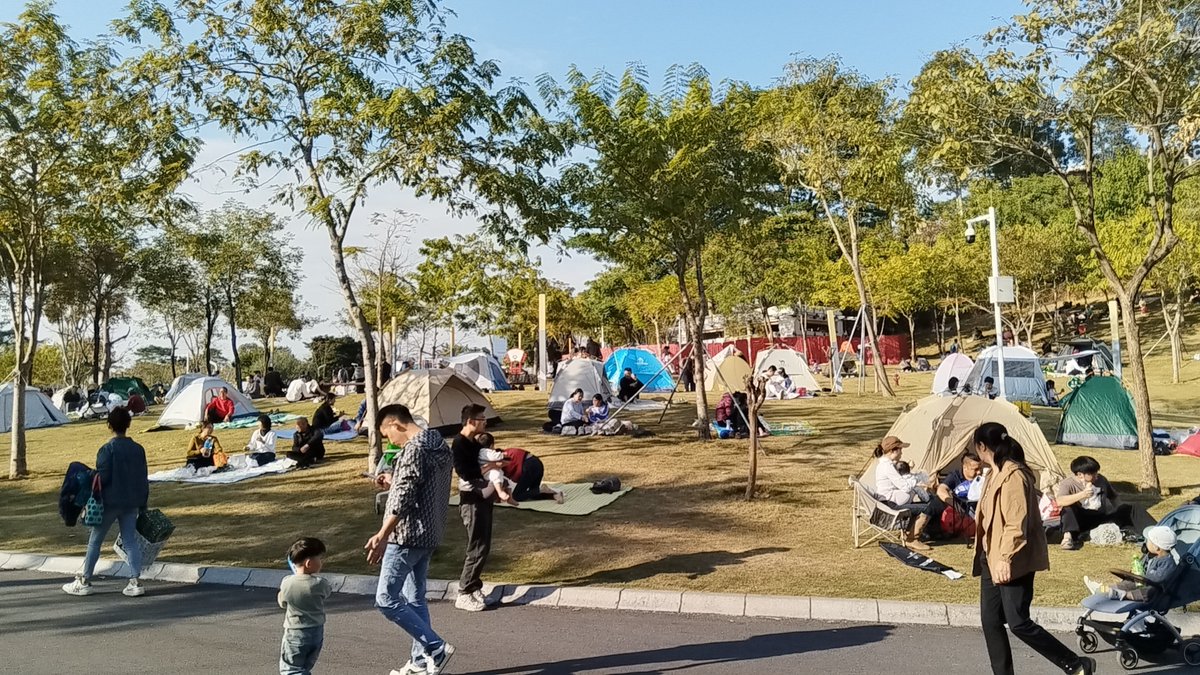 MANUEL  SILVA tweet media