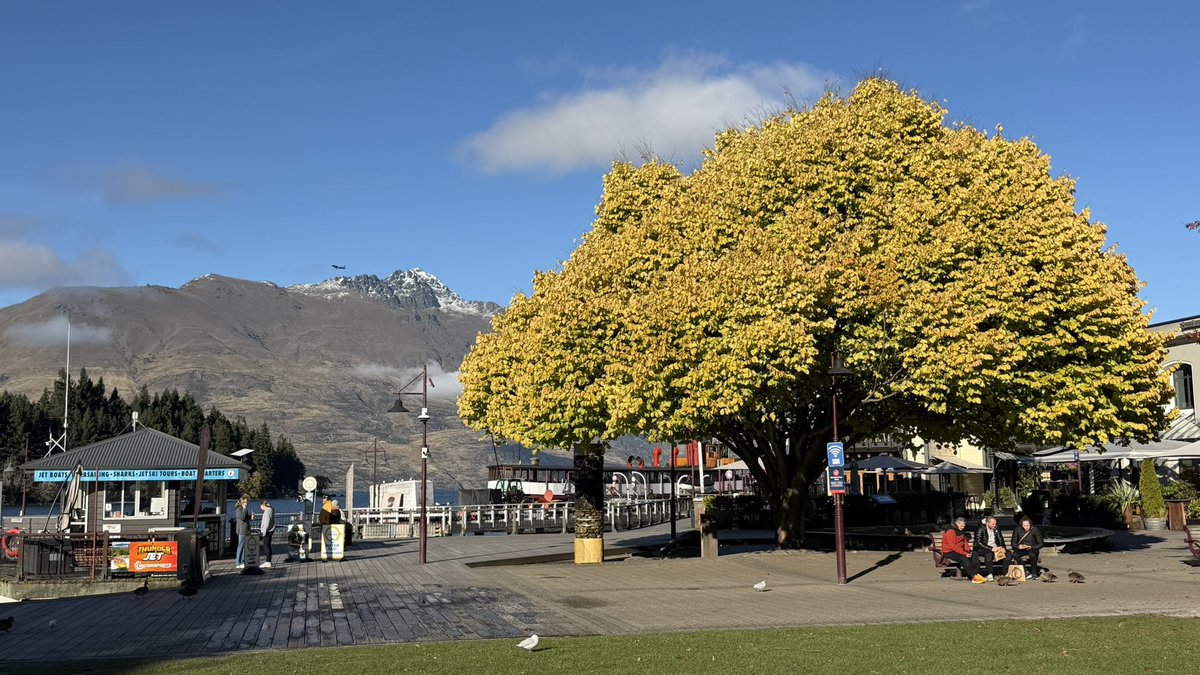 masa198858's tweet image. Morning short Walk☀️

大きい秋見つけた🍁

#morningwalk
#autumn
#Queenstown