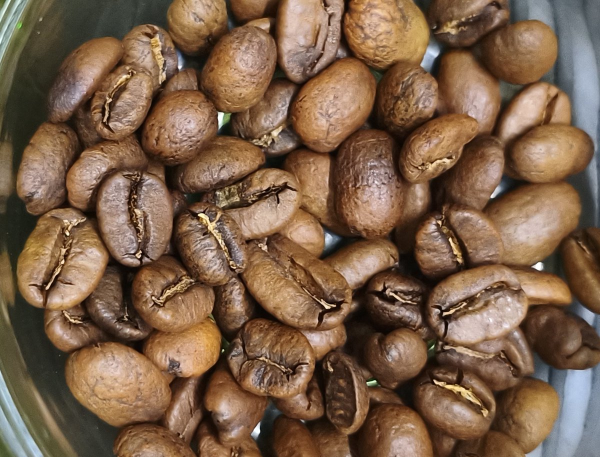 🅱🅰🅶🅾🅽🅶 tweet media