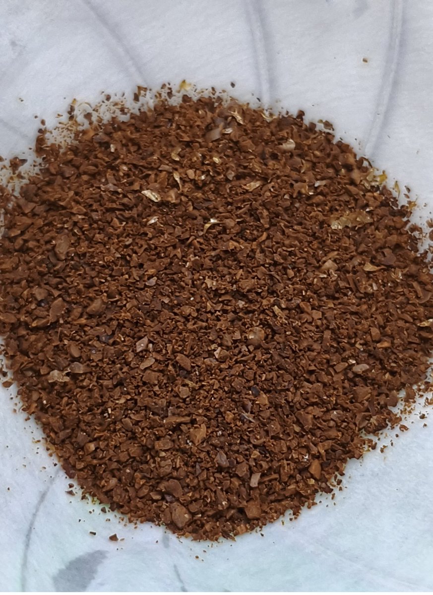 🅱🅰🅶🅾🅽🅶 tweet media