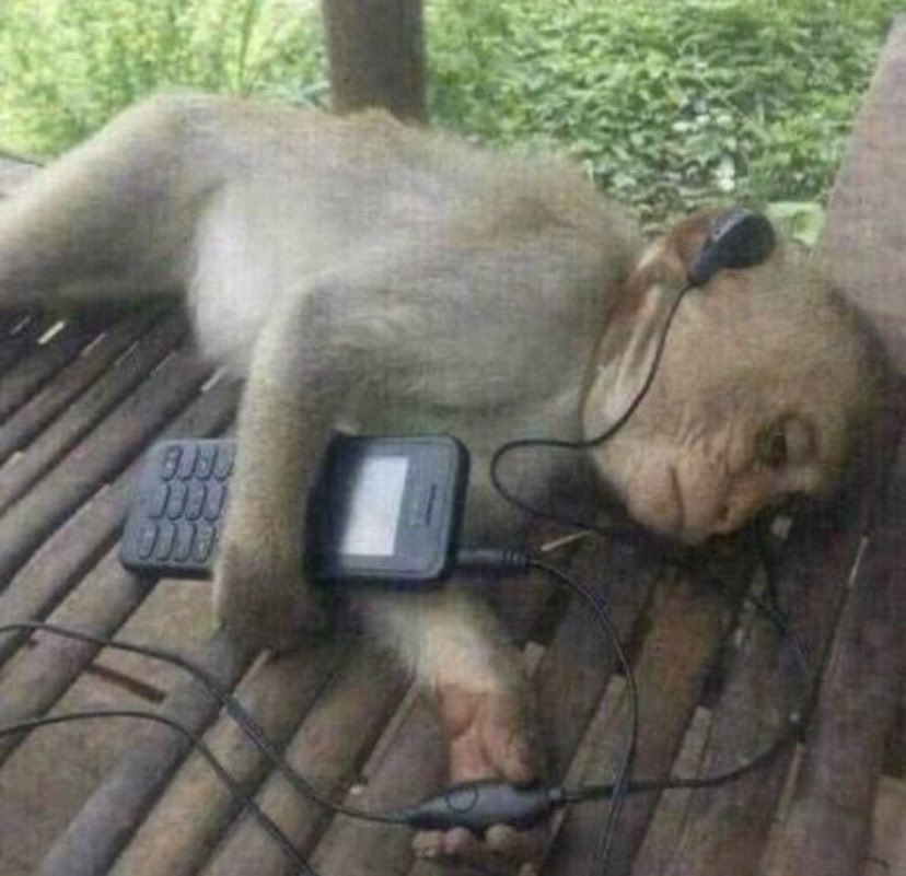 me gusta andar bajo el efecto de mis canciones favoritas