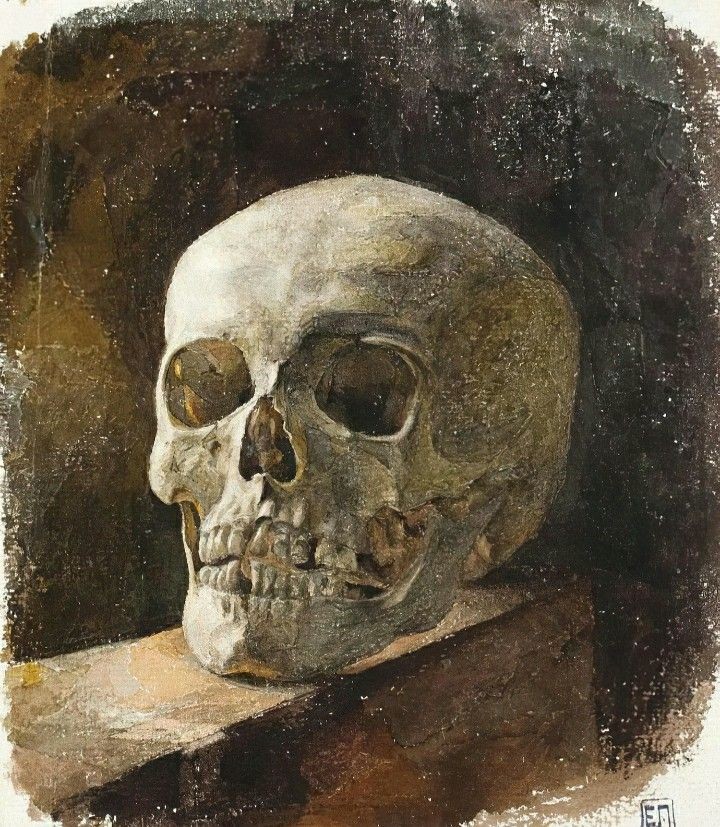 BunnieKat1962's tweet image. #Skull