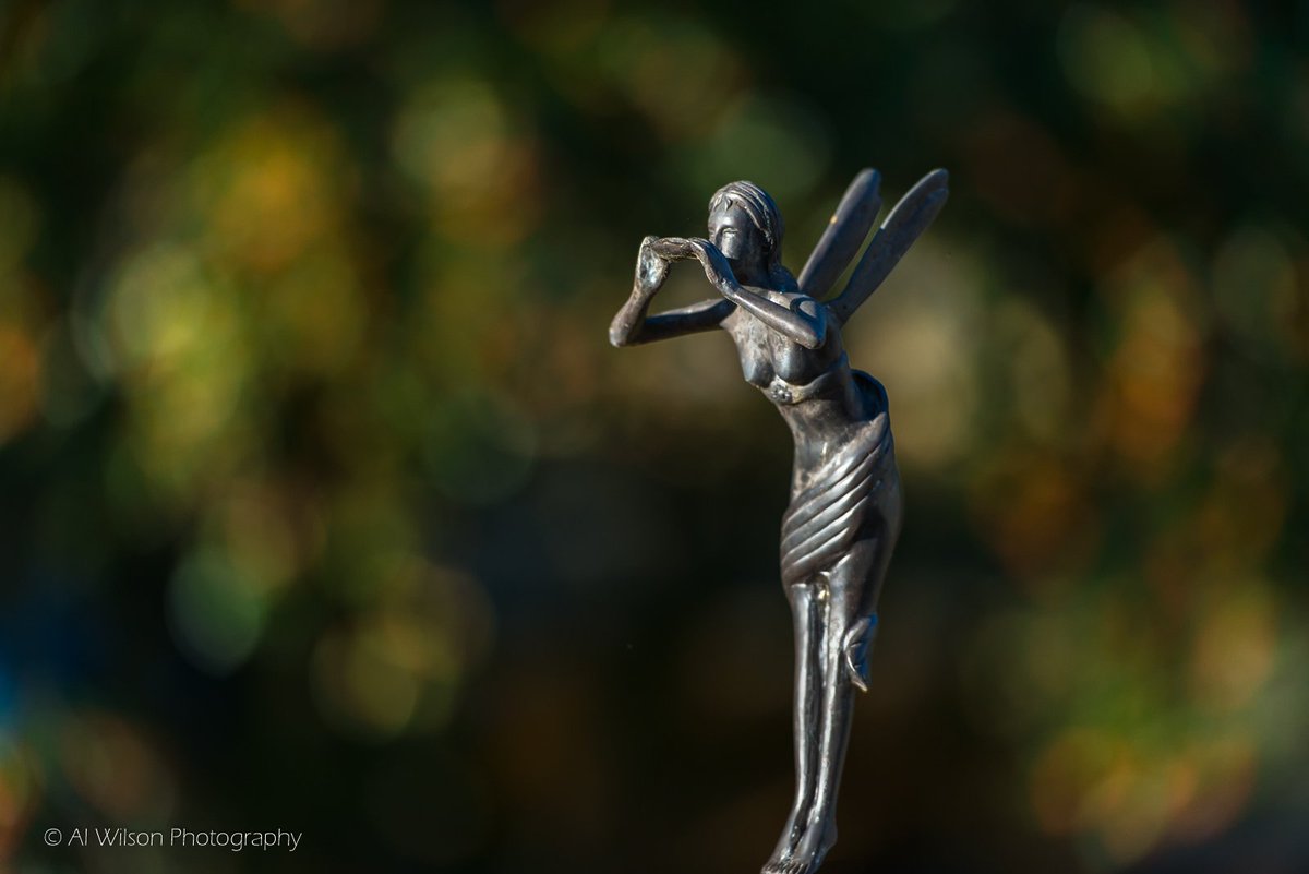 Eyes Wide Open 👀 tweet media