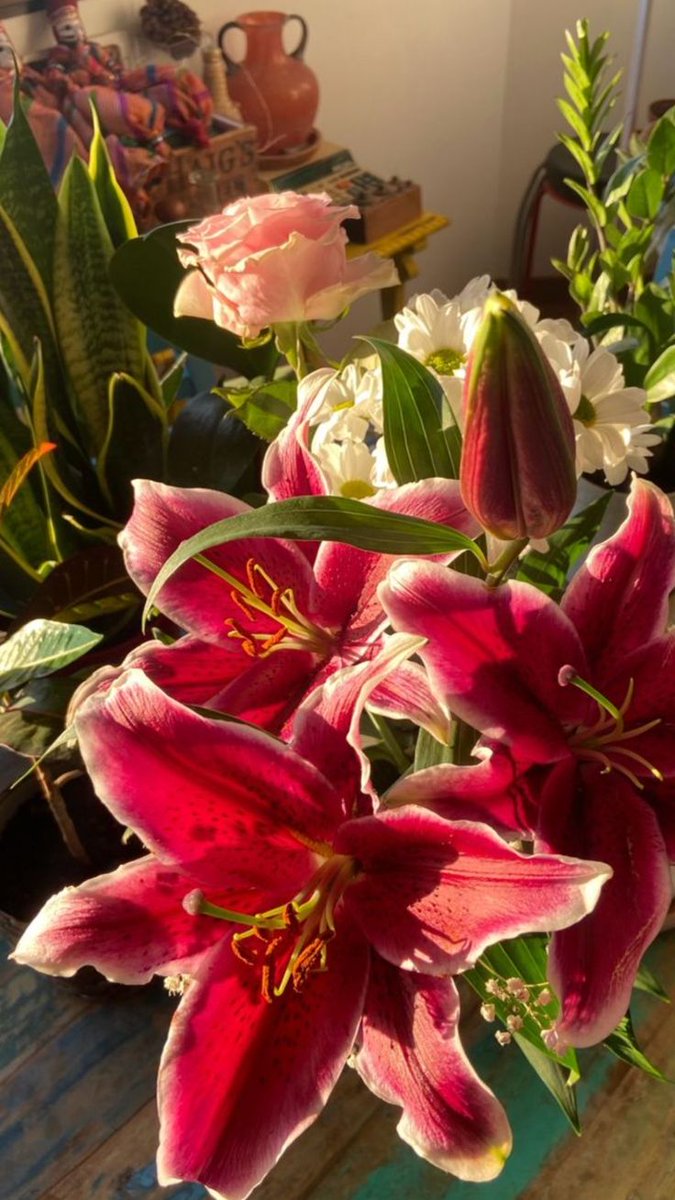 𝑙𝑦𝑟𝑎 tweet media