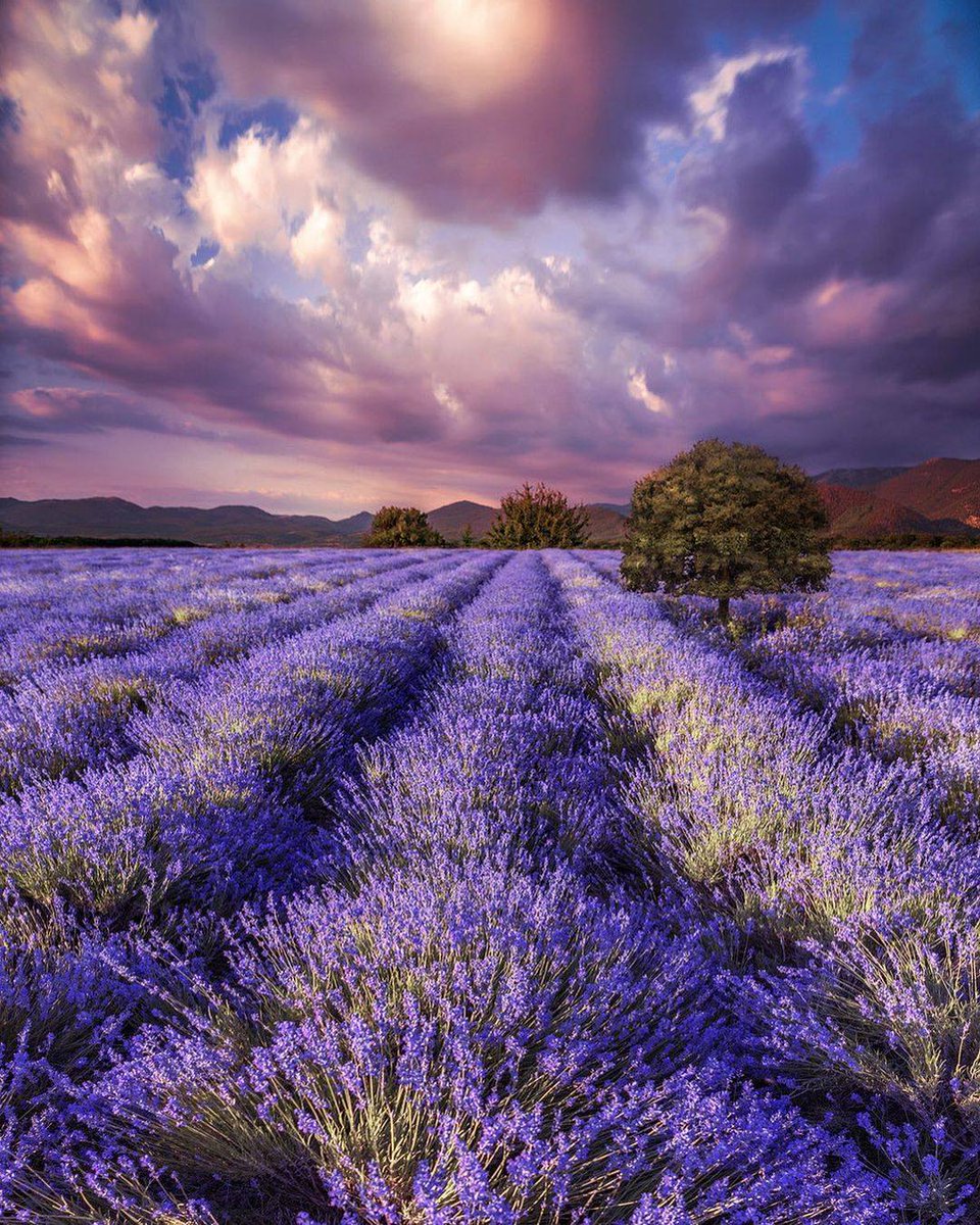 earthvives's tweet image. What the beautiful picture of nature looking so fabulous 🌊

#naturelover #explore #naturephotography