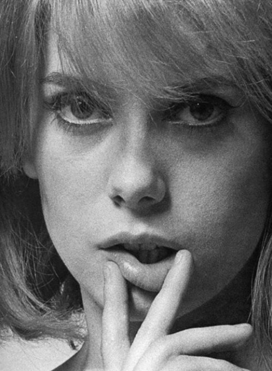 GiuseppeTurrisi's tweet photo. #CatherineDeneuve for @voguemagazine, 1964
📷 by #BertStern
@CleliaMussari @so_contrary @Dida_ti @AlbertGalera @Ms_Golightly @BrindusaB1 @jukkaisorinne @UlteriousFilm @EyauukArt @Rosalia27610189 @LRonLacy @EvaArriagaD @maype7 @mi_oro13 https://t.co/IYW6DW7bzE