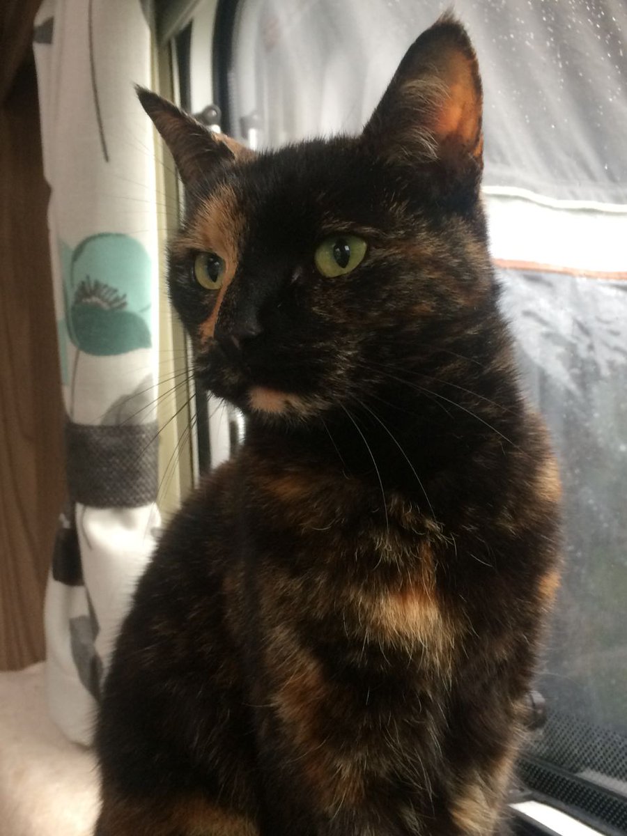 Ned Ludd tweet media