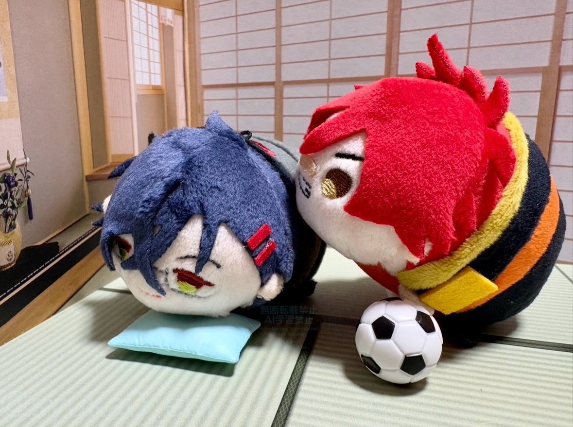 しゅかれい tweet media