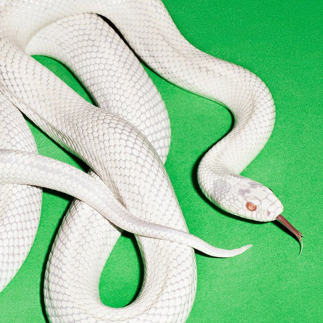 Amargurin🐰🏳️‍⚧️ 🏳️‍🌈 🍉 (@1gna5io) on Twitter photo 