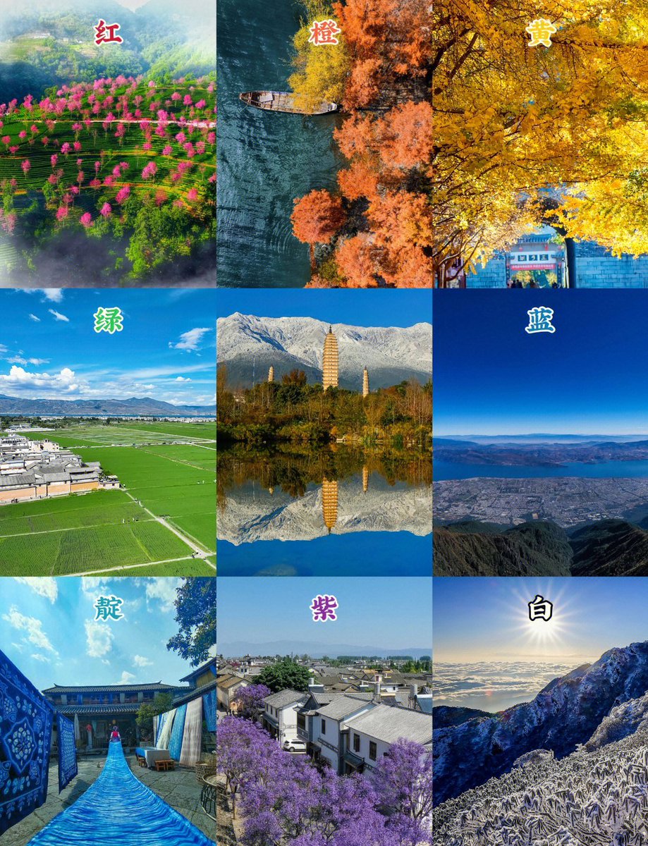 Stephan Deshazo tweet media