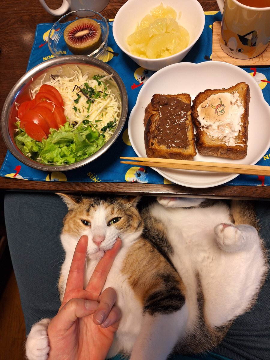 にこちゃまちゃんぬる tweet media