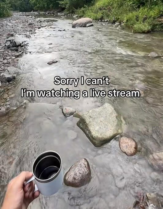 Crowans tweet media