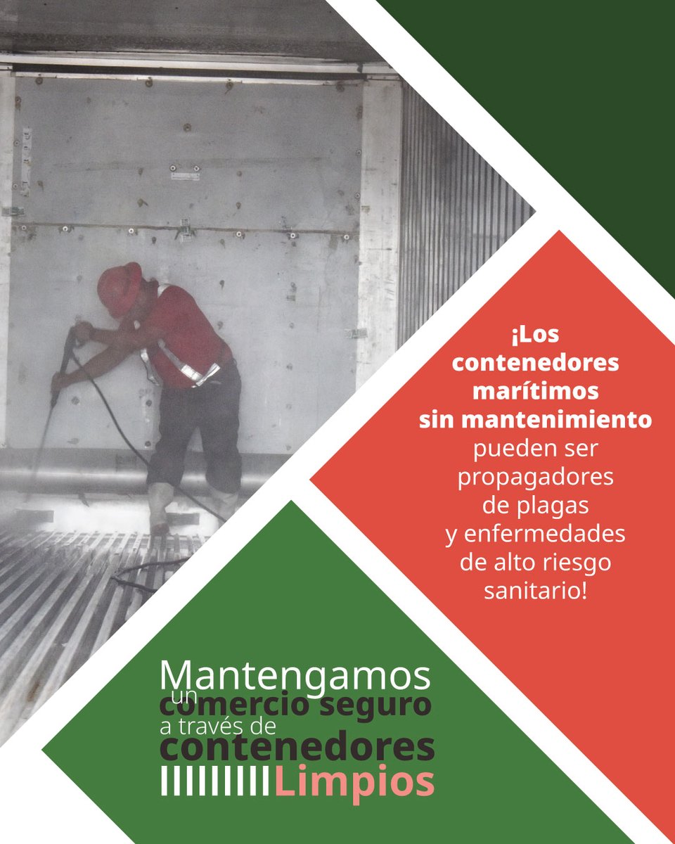 SENASICA's tweet image. La limpieza interna y externa de contenedores marítimos es el primer paso para mantener un comercio seguro y evitar la diseminación de plagas y enfermedades que afectan el sector agrícola. 🚛

¡Por un intercambio comercial seguro, mantengamos limpios los #contenedores!  🤝