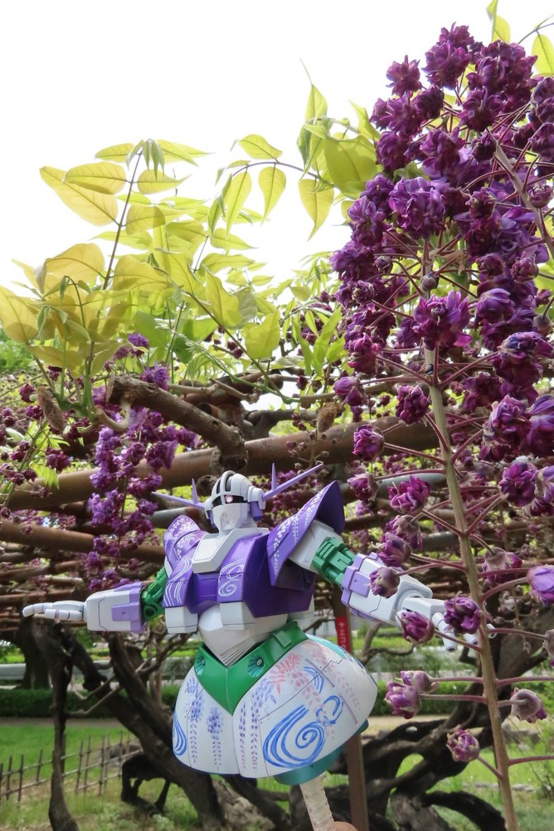 taka-Hi-road tweet media