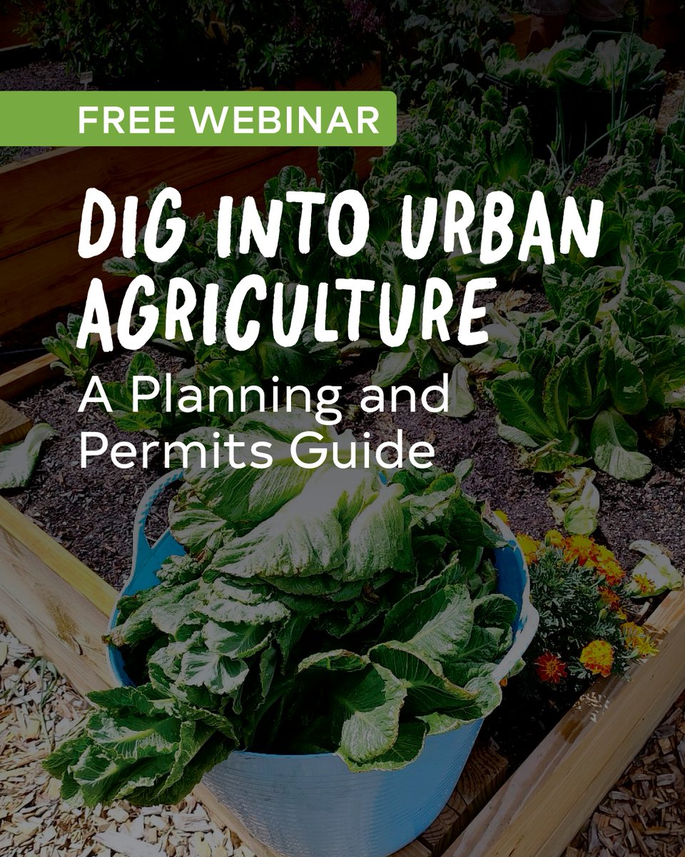 Raleigh Permits tweet media