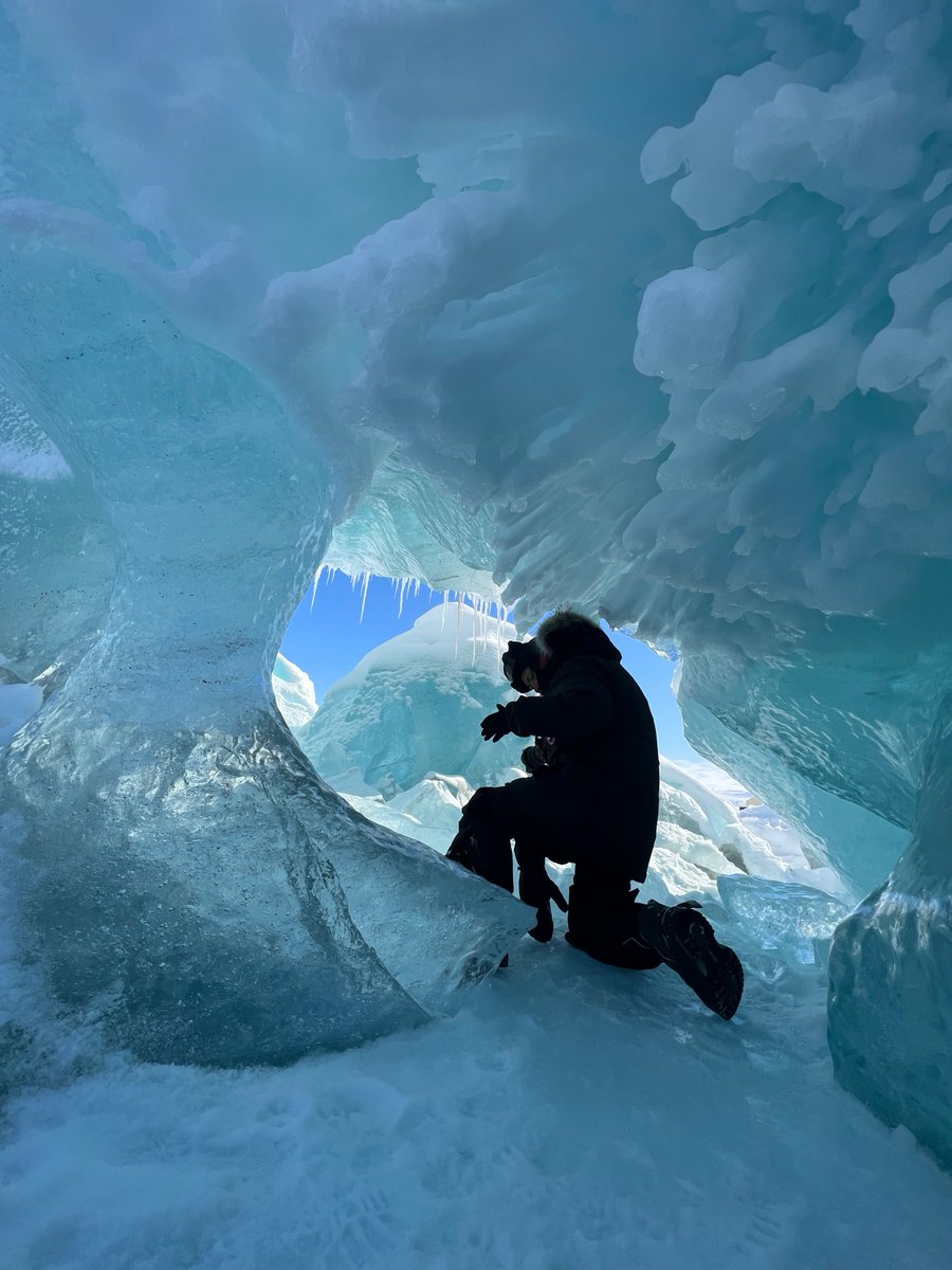 Arctic Kingdom tweet media