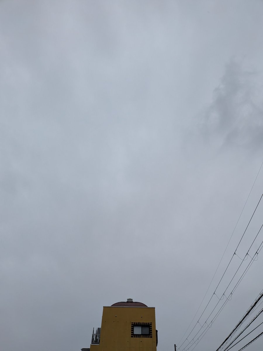 今日は雨です！