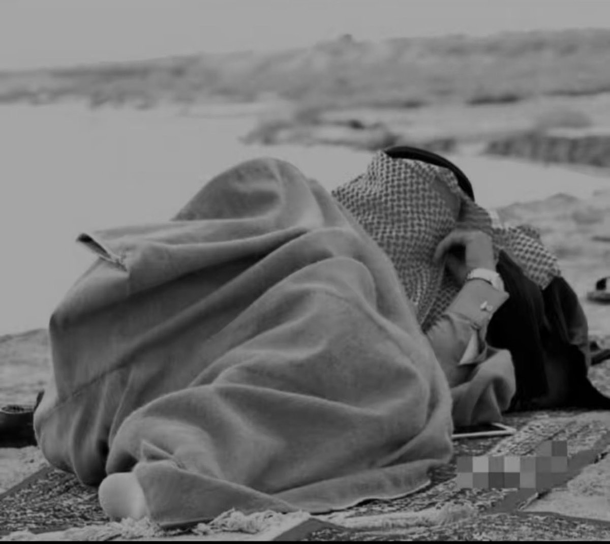 محياء | MOHAYYA tweet media