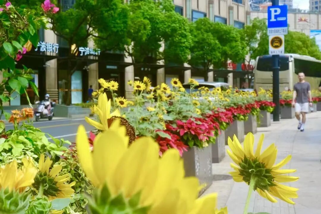 sae spence tweet media