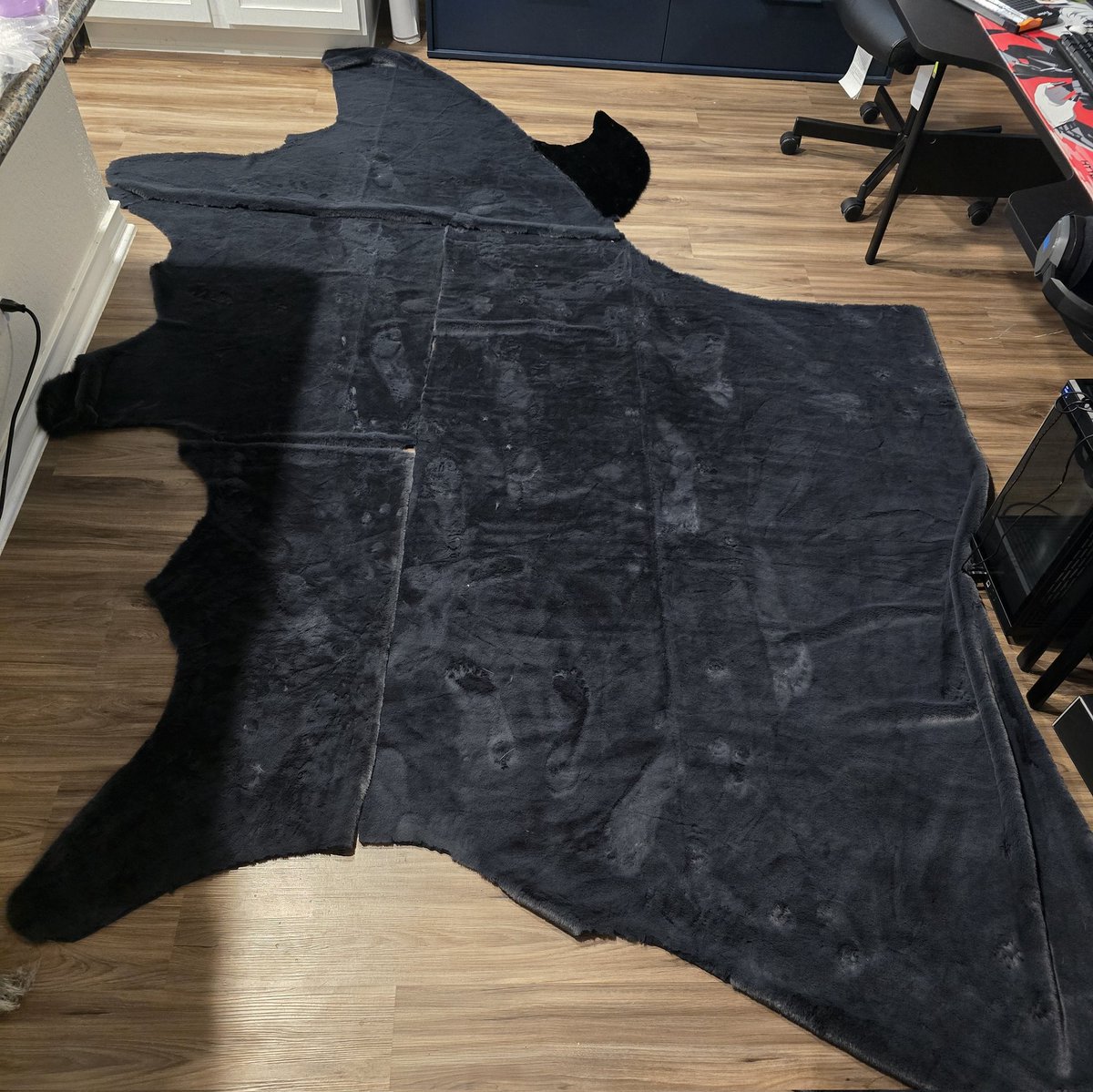 Leigh's Dragons tweet media