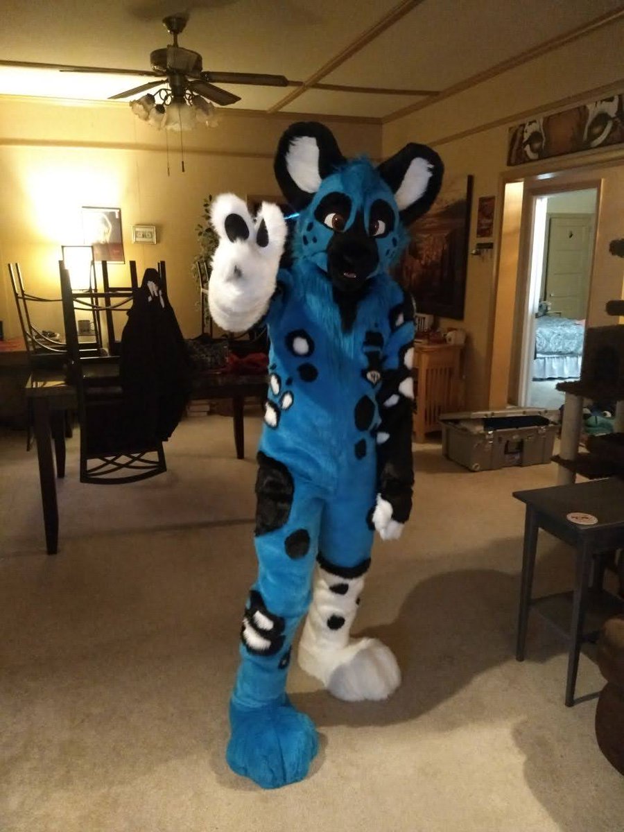 Wastegate Doggy! Doggi! Doggé! tweet media