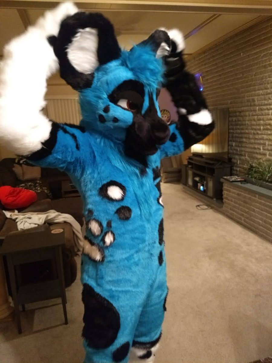 Wastegate Doggy! Doggi! Doggé! tweet media